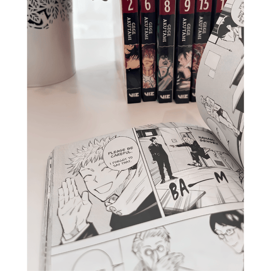Demon Slayer Complete Box Set